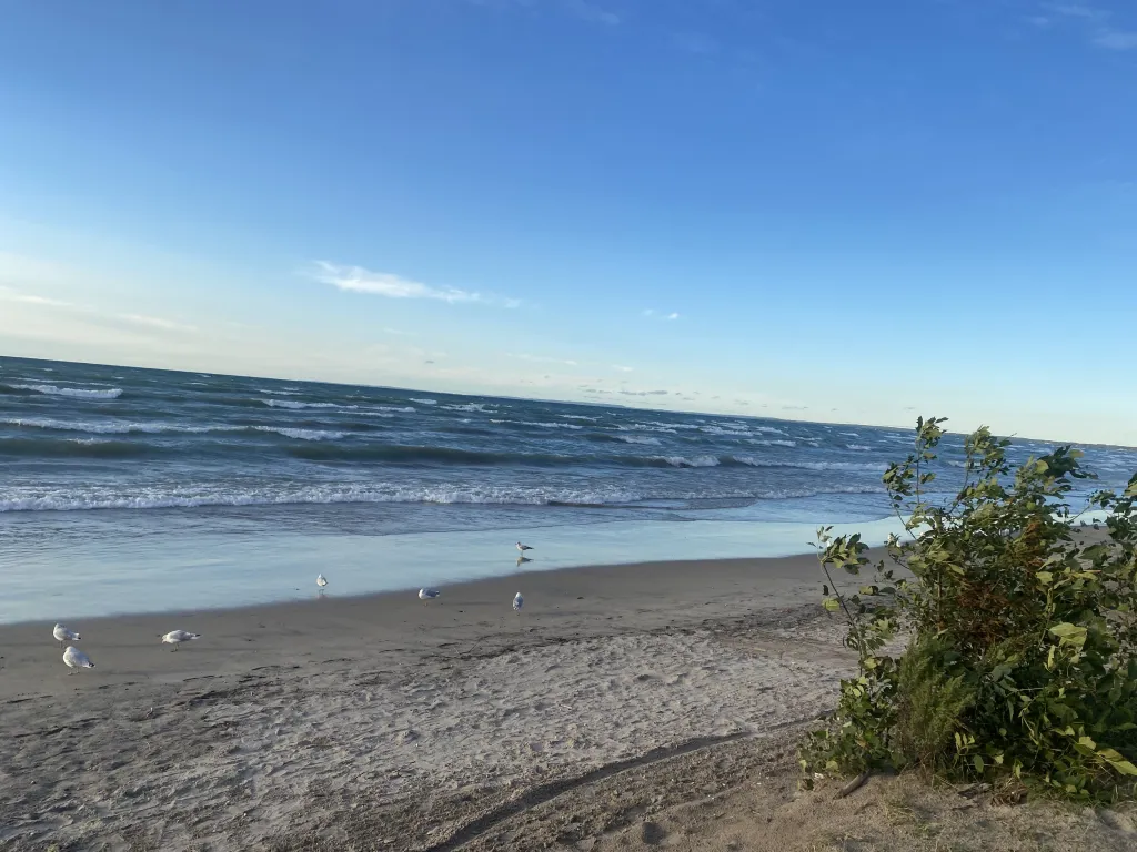 Wasaga Beach shoreline and water